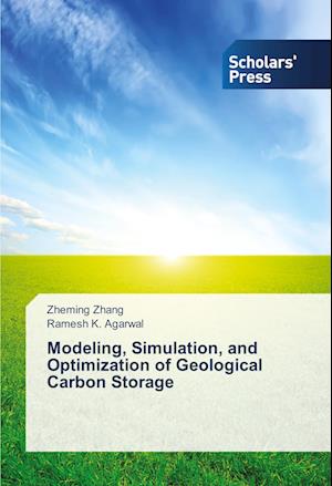 Modeling, Simulation, and Optimization of Geological Carbon Storage