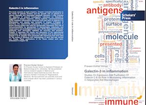 Galectin-3 in inflammation