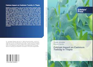 Calcium Impact on Cadmium Toxicity in Tilapia