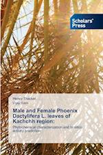 Male and Female Phoenix Dactylifera L. leaves of Kachchh region: