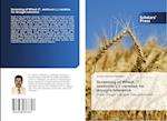 Screening of Wheat (T. aestivum L.) varieties for drought tolerance