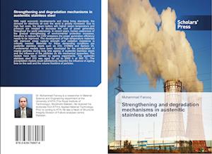 Strengthening and degradation mechanisms in austenitic stainless steel