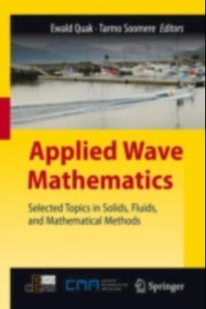 Applied Wave Mathematics