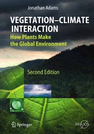 Vegetation-Climate Interaction