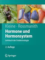 Hormone und Hormonsystem