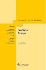 Profinite Groups