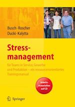 Stressmanagement für Teams in Service, Gewerbe und Produktion - ein ressourcenorientiertes Trainingsmanual