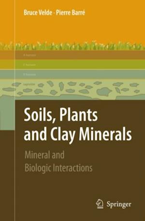 Soils, Plants and Clay Minerals