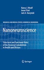 Nanoneuroscience