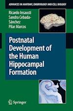 Postnatal Development of the Human Hippocampal Formation
