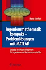 Ingenieurmathematik kompakt – Problemlösungen mit MATLAB