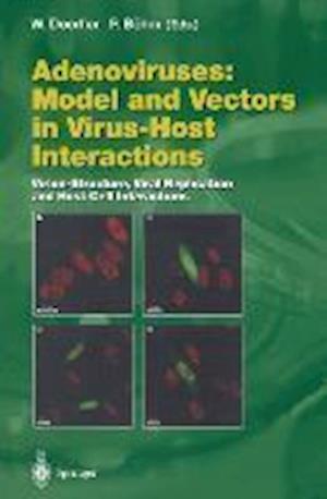 Adenoviruses: Model and Vectors in Virus-Host Interactions