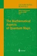 The Mathematical Aspects of Quantum Maps