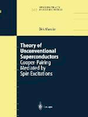 Theory of Unconventional Superconductors