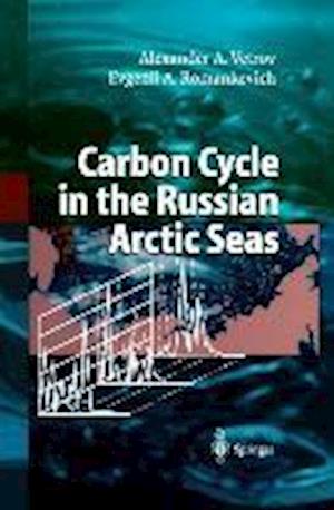 Carbon Cycle in the Russian Arctic Seas