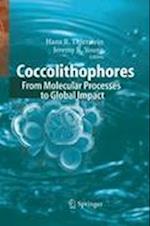 Coccolithophores