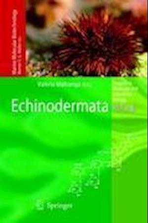 Echinodermata