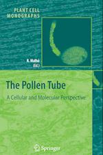 The Pollen Tube
