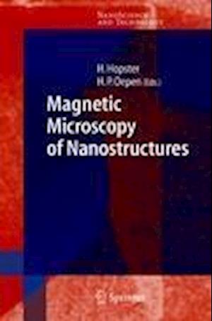 Magnetic Microscopy of Nanostructures