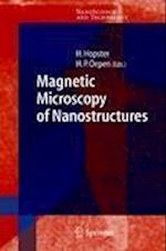 Magnetic Microscopy of Nanostructures