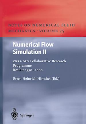 Numerical Flow Simulation II