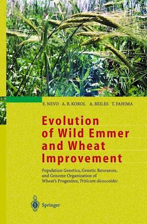 Evolution of Wild Emmer and Wheat Improvement