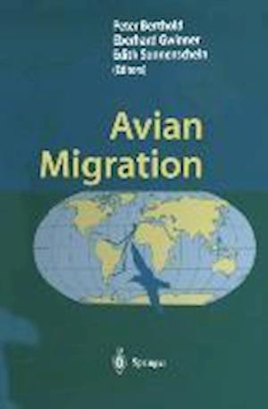 Avian Migration