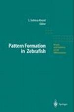 Pattern Formation in Zebrafish