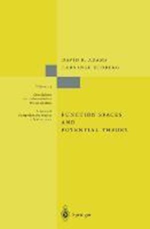 Function Spaces and Potential Theory