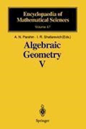 Algebraic Geometry V