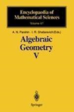 Algebraic Geometry V