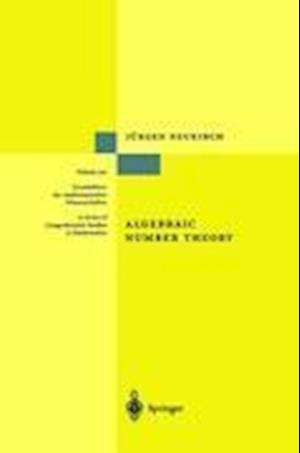 Algebraic Number Theory