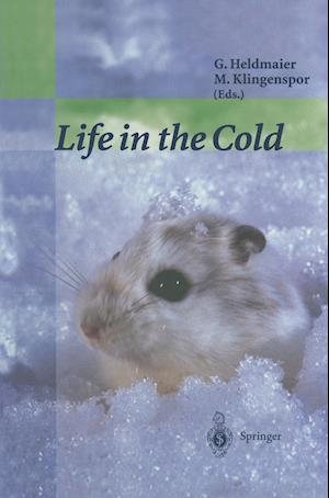 Life in the Cold