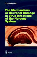 The Mechanisms of Neuronal Damage in Virus Infections of the Nervous System
