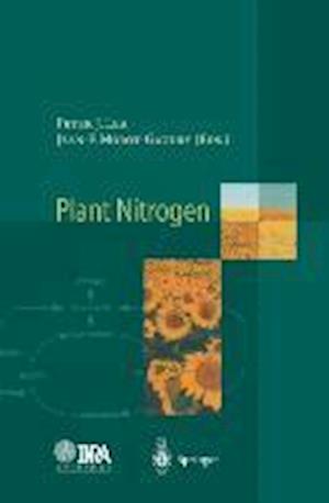 Plant Nitrogen