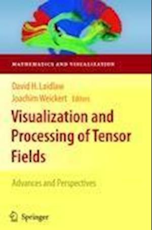 Visualization and Processing of Tensor Fields