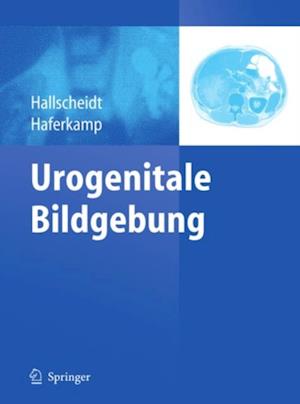 Urogenitale Bildgebung