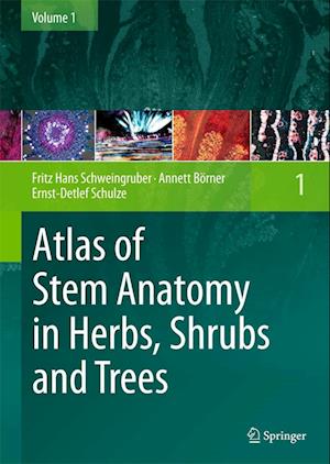 Atlas of Stem Anatomy in Herbs, Shrubs and Trees