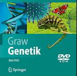 Bild-DVD, Graw Genetik