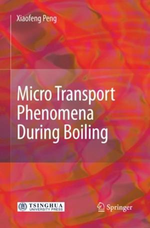 Micro Transport Phenomena During Boiling