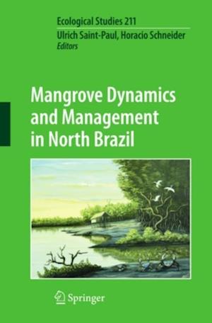 Mangrove Dynamics and Management in North Brazil