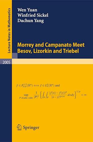 Morrey and Campanato Meet Besov, Lizorkin and Triebel