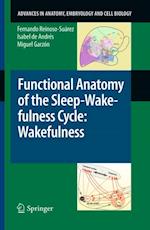 Functional Anatomy of the Sleep-Wakefulness Cycle: Wakefulness