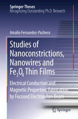 Studies of Nanoconstrictions, Nanowires and Fe3O4 Thin Films