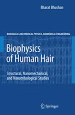 Biophysics of Human Hair