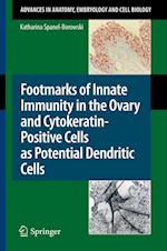Footmarks of Innate Immunity in the Ovary and Cytokeratin-Positive Cells as Potential Dendritic Cells