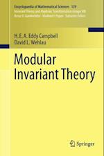 Modular Invariant Theory