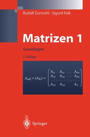 Matrizen und ihre Anwendungen 1