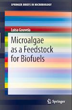 Microalgae as a Feedstock for Biofuels