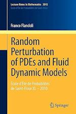 Random Perturbation of PDEs and Fluid Dynamic Models
